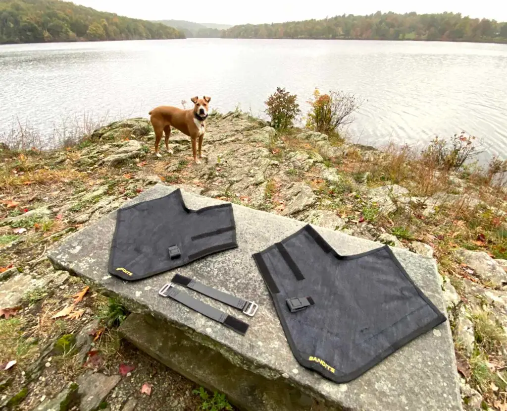 bandits_gaiters_dog_lake